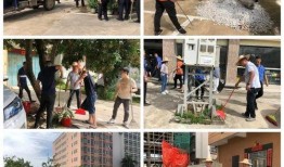 汕头龙湖爆料最新消息,揭秘神秘事件背后的真相